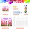 Paint by Numbers Kit for Adults, Tulip Flowers Paint by Number for Beginners, DIY Seaside Scenery Acrylic Number Painting on Canvas, Great Gifts Decor